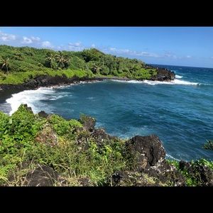 Meet your Posher, Dee